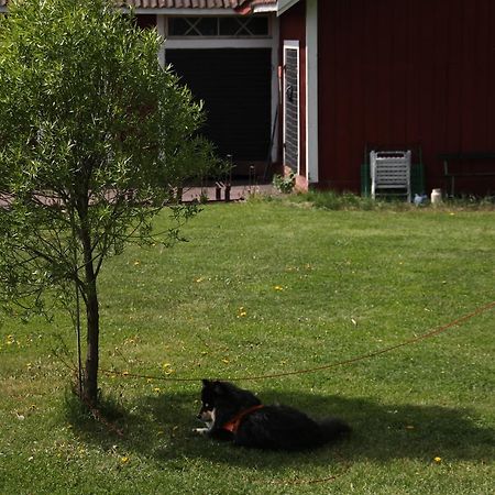 Mora Vandrarhem Och Gaesthem Vinäs Exterior photo