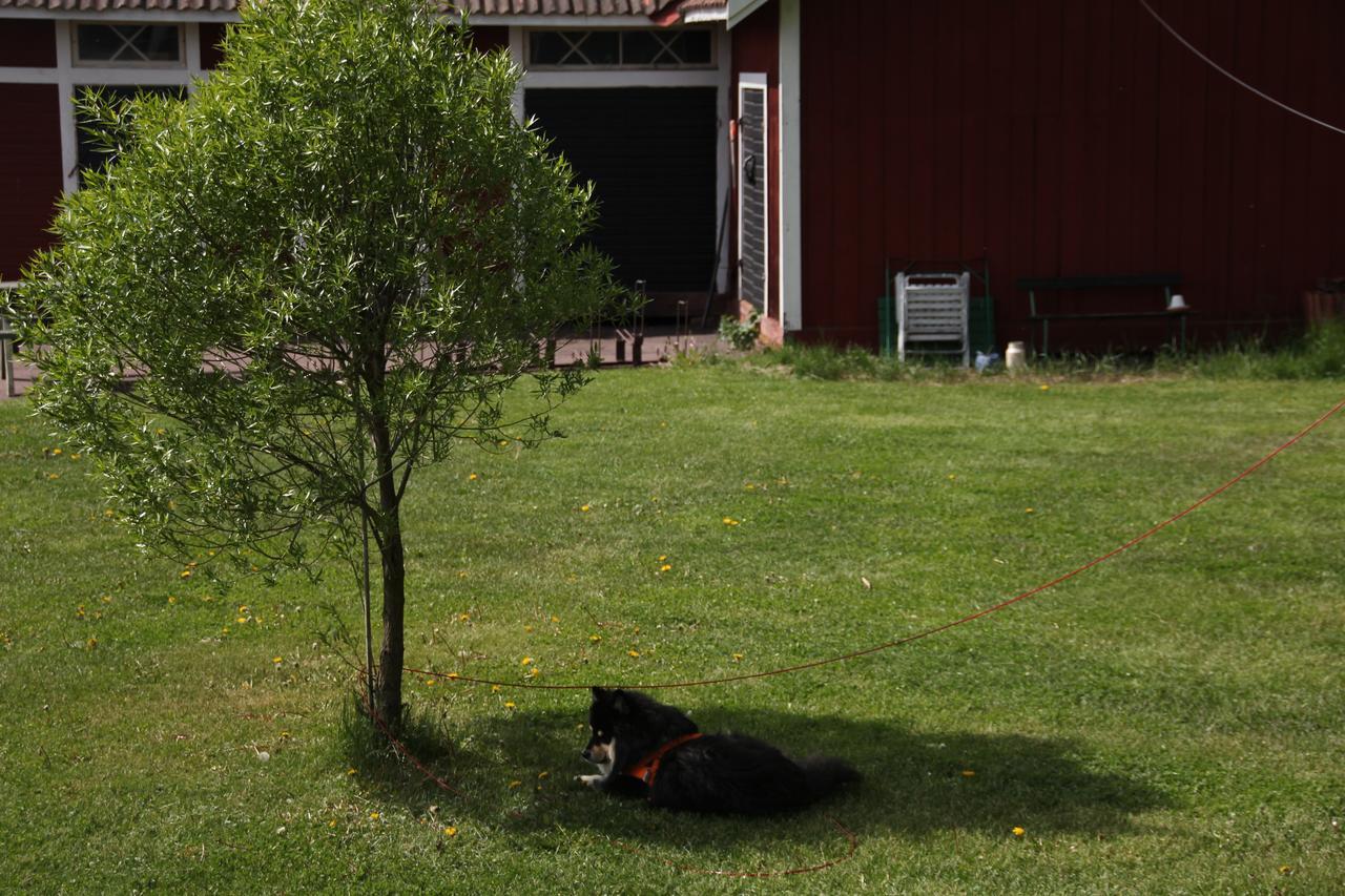 Mora Vandrarhem Och Gaesthem Vinäs Exterior photo