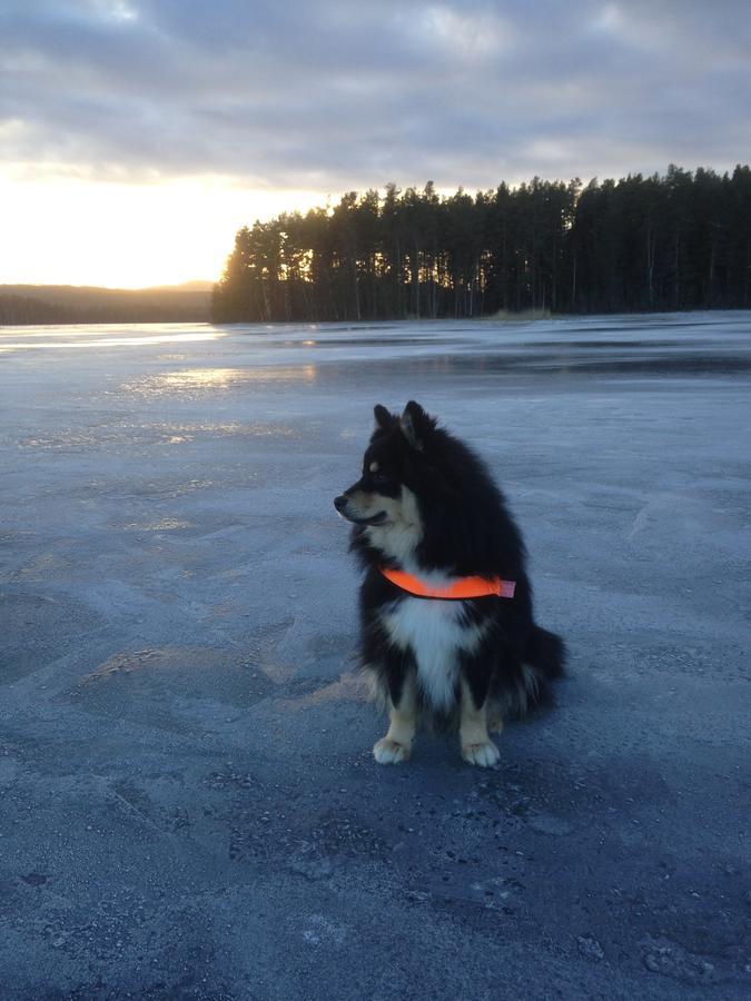 Mora Vandrarhem Och Gaesthem Vinäs Exterior photo